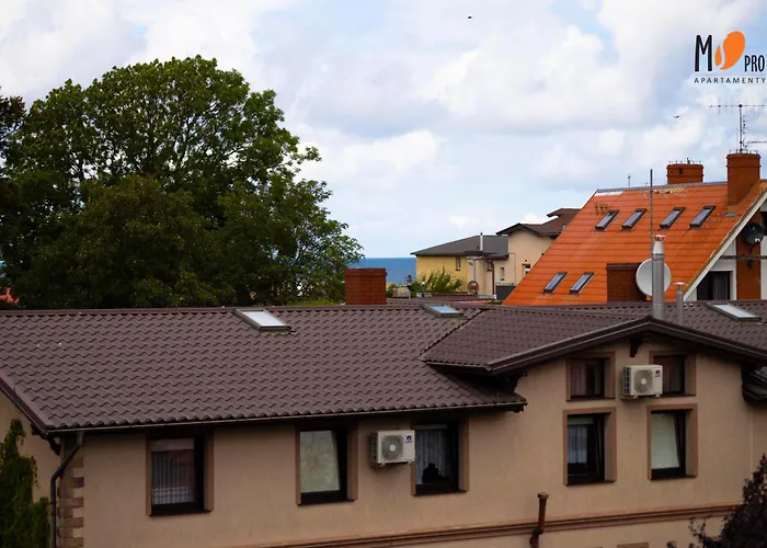 Summer Lofts Premium By Ms Pro